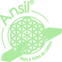 logo ansil